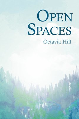 Open Spaces 1