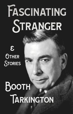 bokomslag Fascinating Stranger and Other Stories