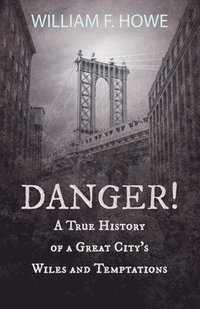 bokomslag Danger! - A True History of a Great City's Wiles and Temptations