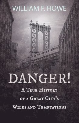 Danger! - A True History of a Great City's Wiles and Temptations 1