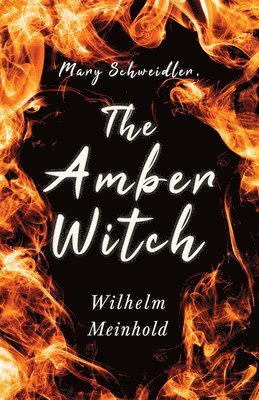 Wilhelm Meinhold - Mary Schweidler, the Amber Witch, Häftad