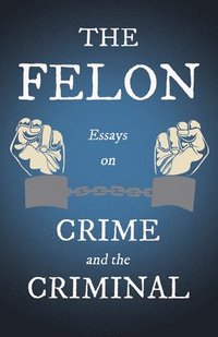 bokomslag Felon - Essays on Crime and the Criminal