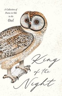 bokomslag King of the Night - A Collection of Poems in Ode to the Owl