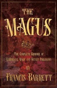 bokomslag Magus