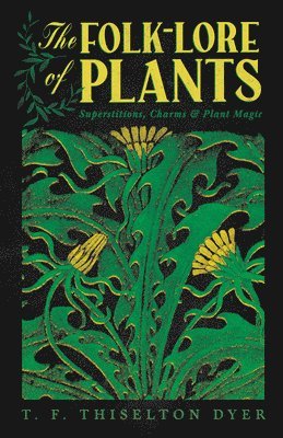 bokomslag Folk-Lore of Plants