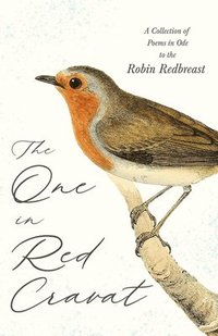 bokomslag The One in Red Cravat - A Collection of Poems in Ode to the Robin Redbreast