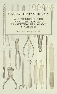bokomslag Manual of Taxidermy - A Complete Guide in Collecting and Preserving Birds and Mammals
