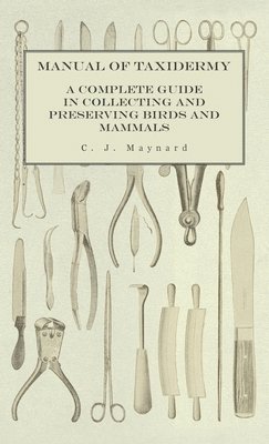 bokomslag Manual of Taxidermy - A Complete Guide in Collecting and Preserving Birds and Mammals