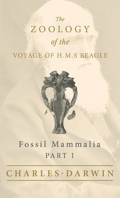 bokomslag Fossil Mammalia - Part I - The Zoology of the Voyage of H.M.S Beagle