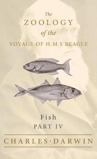 bokomslag Fish - Part IV - The Zoology of the Voyage of H.M.S Beagle