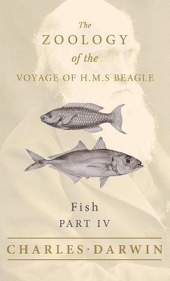 bokomslag Fish - Part IV - The Zoology of the Voyage of H.M.S Beagle