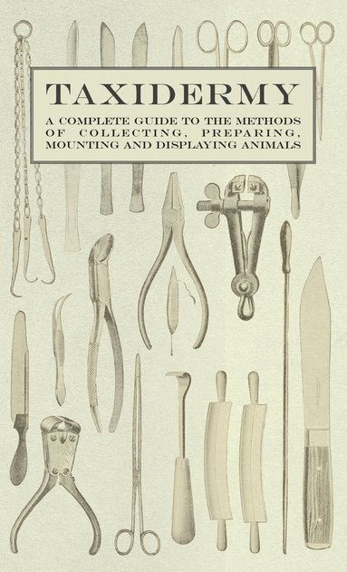 bokomslag Taxidermy - A Complete Guide to the Methods of Collecting, Preparing, Mounting and Displaying Animals
