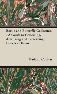 bokomslag Beetle and Butterfly Collection - A Guide to Collecting, Arranging and Preserving Insects at Home