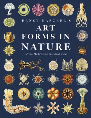 Ernst Haeckel - Ernst Haeckel's Art Forms in Nature, Inbunden