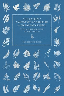 Anna Atkins' Cyanotypes of British and Foreign Ferns 1