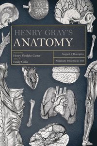 bokomslag Henry Gray's Anatomy