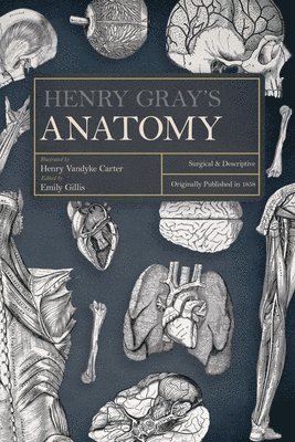 Henry Gray's Anatomy 1