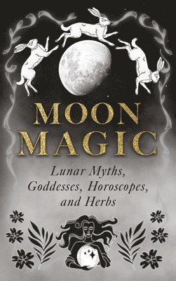 bokomslag Moon Magic