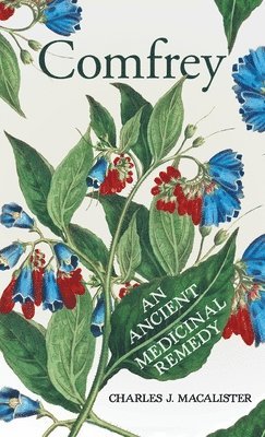 Comfrey - An Ancient Medicinal Remedy 1