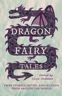 bokomslag Dragon Fairy Tales