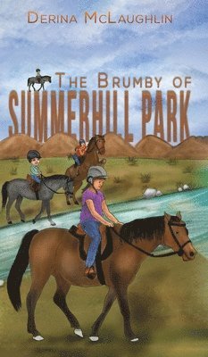 bokomslag The Brumby of Summerhill Park