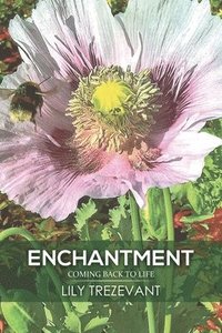 bokomslag Enchantment: Coming Back to Life