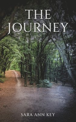 bokomslag Journey