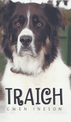 Gwen Ineson - Traigh, Inbunden