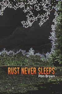 bokomslag Rust Never Sleeps