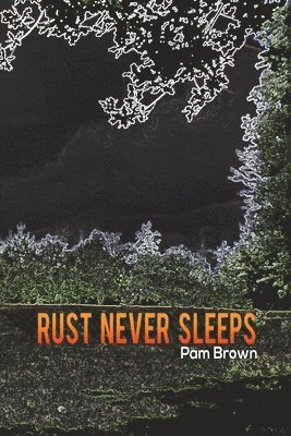 Pam Brown - Rust Never Sleeps, Häftad