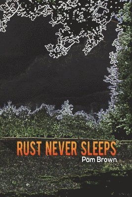 Rust Never Sleeps 1