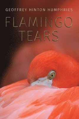 bokomslag Flamingo Tears