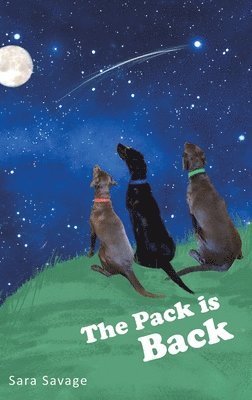 bokomslag The Pack is Back