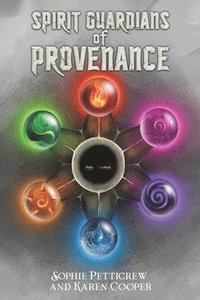 bokomslag Spirit Guardians of Provenance