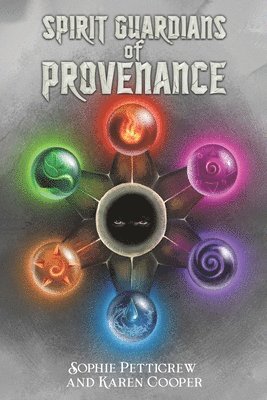Sophie Petticrew, Karen Cooper - Spirit Guardians of Provenance, Häftad