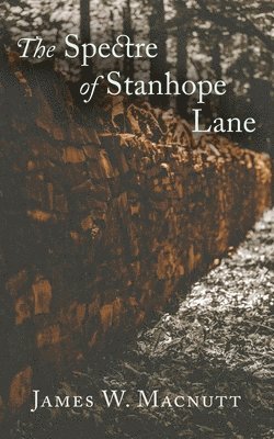 The Spectre of Stanhope Lane 1