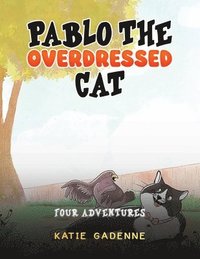 bokomslag Pablo the Overdressed Cat