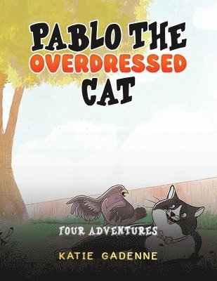 Pablo the Overdressed Cat 1