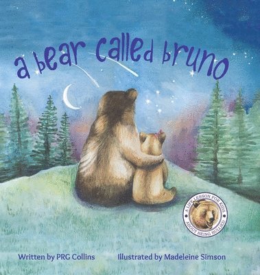 bokomslag Bear Called Bruno