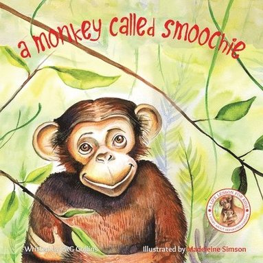 bokomslag Monkey Called Smoochie