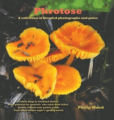 Philip Wood - Phrotose, Inbunden