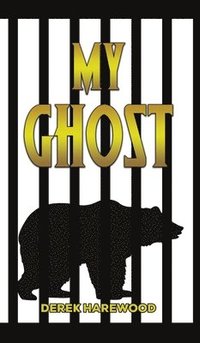 bokomslag My Ghost