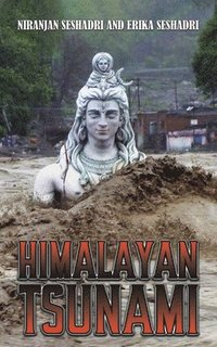 bokomslag Himalayan Tsunami