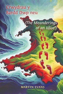 bokomslag Crwydrau y Bardd Dwp neu/or The meanderings of an Idiot!