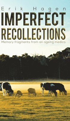 Imperfect Recollections 1