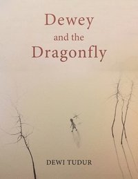 bokomslag Dewey and the Dragonfly