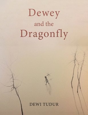 Dewey and the Dragonfly 1