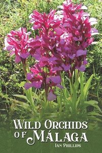 bokomslag Wild Orchids of Malaga