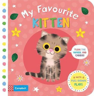 bokomslag My Favourite Kitten