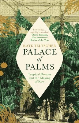 Palace of Palms 1